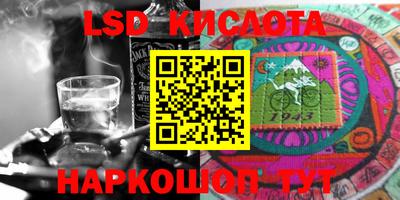 молекула духа Кингисепп