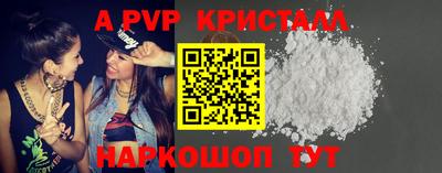 молекула духа Кингисепп
