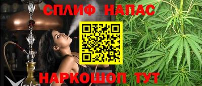 молекула духа Кингисепп