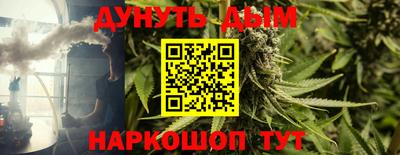 шишки Кинель