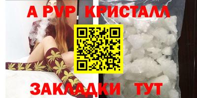 молекула духа Кингисепп